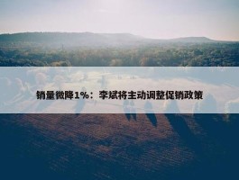 销量微降1%：李斌将主动调整促销政策