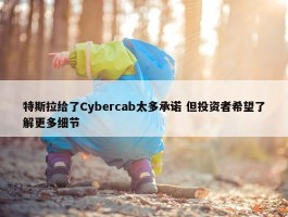 特斯拉给了Cybercab太多承诺 但投资者希望了解更多细节