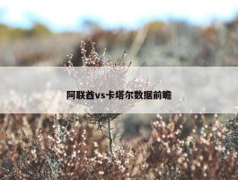 阿联酋vs卡塔尔数据前瞻