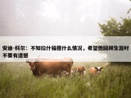 安迪-科尔：不知拉什福德什么情况，希望他回顾生涯时不要有遗憾