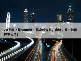 20天卖了超8000辆！档次超宝马，奔驰，又一款国产车火了！