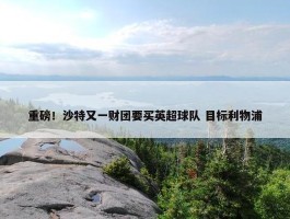 重磅！沙特又一财团要买英超球队 目标利物浦