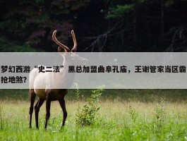 梦幻西游“史二法”黑总加盟曲阜孔庙，王谢管家当区霸抢地煞？