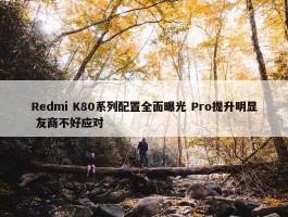 Redmi K80系列配置全面曝光 Pro提升明显 友商不好应对