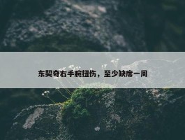 东契奇右手腕扭伤，至少缺席一周