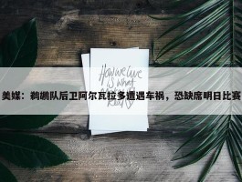 美媒：鹈鹕队后卫阿尔瓦拉多遭遇车祸，恐缺席明日比赛