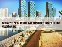 灰熊官方：文斯-威廉姆斯遭遇右脚踝三级扭伤 大约四周后重新评估