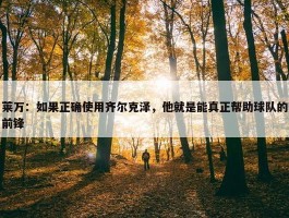 莱万：如果正确使用齐尔克泽，他就是能真正帮助球队的前锋