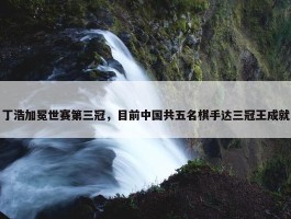 丁浩加冕世赛第三冠，目前中国共五名棋手达三冠王成就