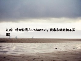 江瀚：特斯拉发布Robotaxi，资本市场为何不买账？