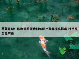 蒂莱曼斯：埃梅里希望我们每场比赛都提高标准 杜兰是全能前锋