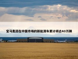 宝马集团在中国市场的新能源车累计将达40万辆