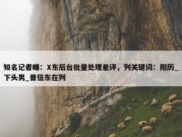 知名记者曝：X东后台批量处理差评，列关键词：阳历_下头男_普信东在列