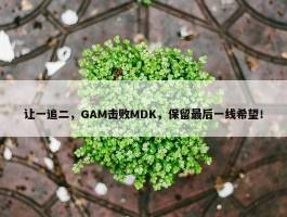 让一追二，GAM击败MDK，保留最后一线希望！