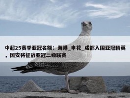 中超25赛季亚冠名额：海港_申花_成都入围亚冠精英，国安将征战亚冠二级联赛