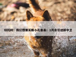 琼托利：我们想要买断小孔塞桑；1月会引进新中卫