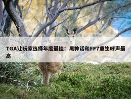 TGA让玩家选择年度最佳：黑神话和FF7重生呼声最高