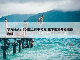 华为Mate 70或11月中旬发 线下渠道开始准备物料