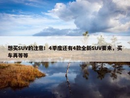 想买SUV的注意！4季度还有4款全新SUV要来，买车再等等