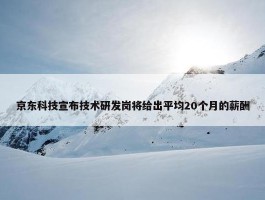 京东科技宣布技术研发岗将给出平均20个月的薪酬