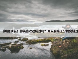 《神雕侠侣》郭芙喜欢过杨过吗？两人有缘无分终究错过