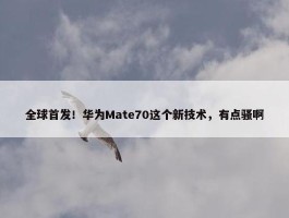 全球首发！华为Mate70这个新技术，有点骚啊