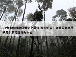 F1专家称维斯塔潘史上最佳 维伦纽夫：到目前为止他就是机会把握得好而已