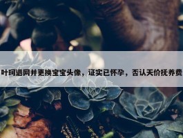 叶珂退网并更换宝宝头像，证实已怀孕，否认天价抚养费