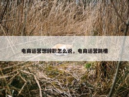 电商运营想辞职怎么说，电商运营跳槽