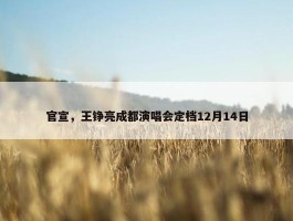 官宣，王铮亮成都演唱会定档12月14日