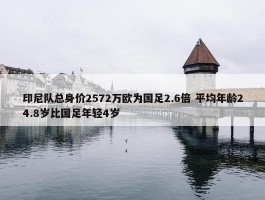 印尼队总身价2572万欧为国足2.6倍 平均年龄24.8岁比国足年轻4岁