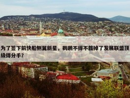 为了签下前快船侧翼新星，鹈鹕不得不裁掉了发展联盟顶级得分手？