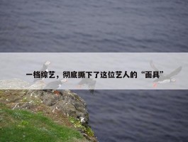 一档综艺，彻底撕下了这位艺人的“面具”