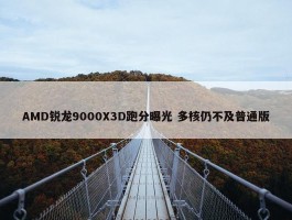 AMD锐龙9000X3D跑分曝光 多核仍不及普通版