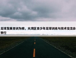 足球发展青训为根，大湾区青少年足球训练与技术交流会举行