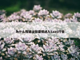 为什么我建议你谨慎进入SaaS行业