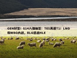 GEN好签！S14八强抽签：TES再遇T1！LNG和WBG内战，BLG迎战HLE