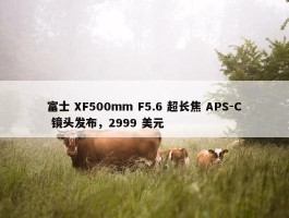 富士 XF500mm F5.6 超长焦 APS-C 镜头发布，2999 美元