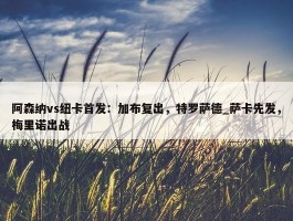 阿森纳vs纽卡首发：加布复出，特罗萨德_萨卡先发，梅里诺出战