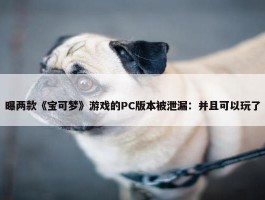 曝两款《宝可梦》游戏的PC版本被泄漏：并且可以玩了