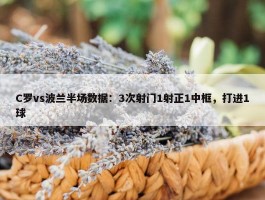 C罗vs波兰半场数据：3次射门1射正1中框，打进1球