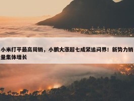 小米打平最高周销，小鹏大涨超七成紧追问界！新势力销量集体增长