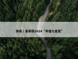 快讯｜喜茶获2024“年度七星奖”