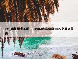 PC_手机需求不振！DRAM内存价格1年5个月来首跌