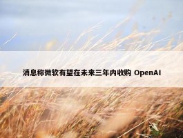 消息称微软有望在未来三年内收购 OpenAI