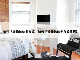 如何把宠物偷偷养在家（如何把宠物偷偷养在家里面）