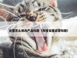 运营怎么修改产品标题（淘宝设置运营标题）