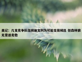 美记：几支竞争队伍将迪文列为可能交易候选 但森林狼无意送走他