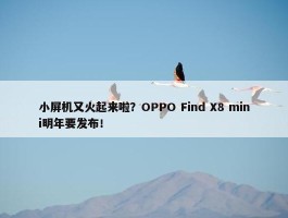 小屏机又火起来啦？OPPO Find X8 mini明年要发布！