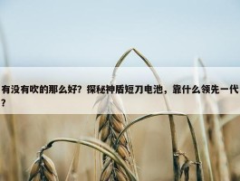 有没有吹的那么好？探秘神盾短刀电池，靠什么领先一代？